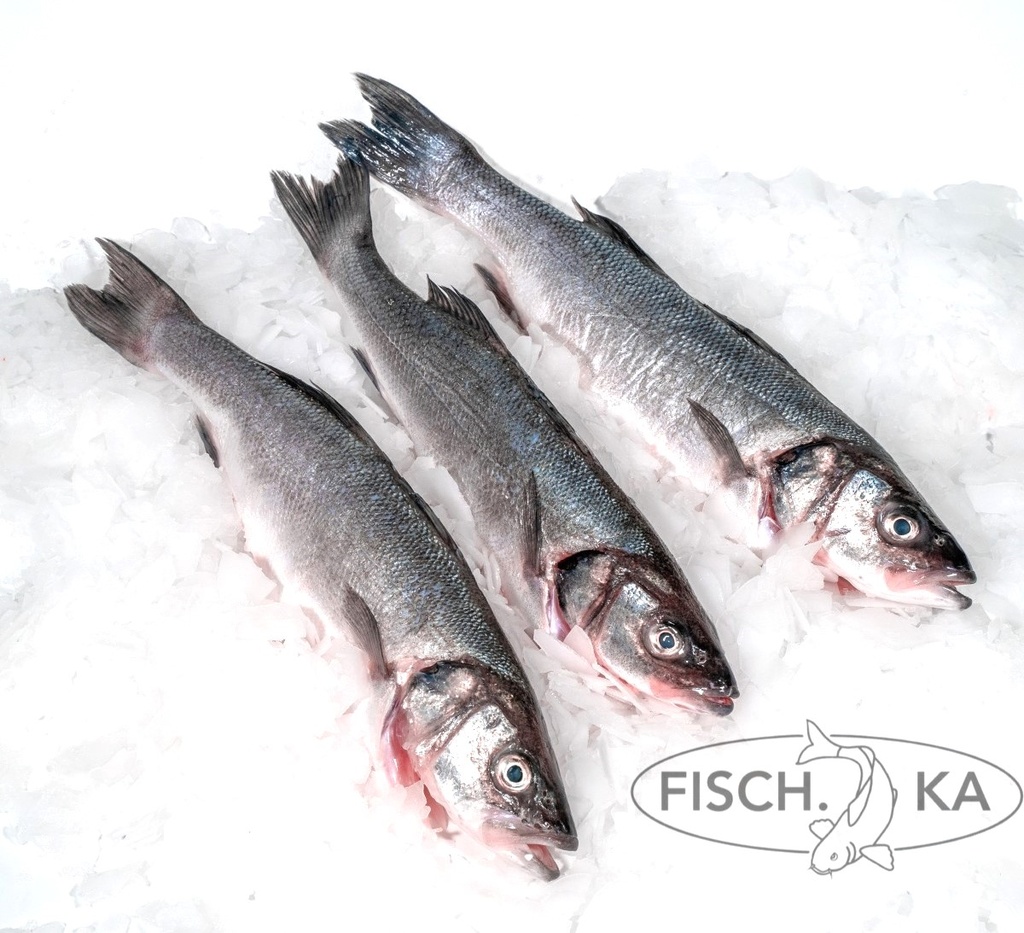 [OB47] Wolfsbarsch frisch 300/400 g/st 6 kg/pack (4101)