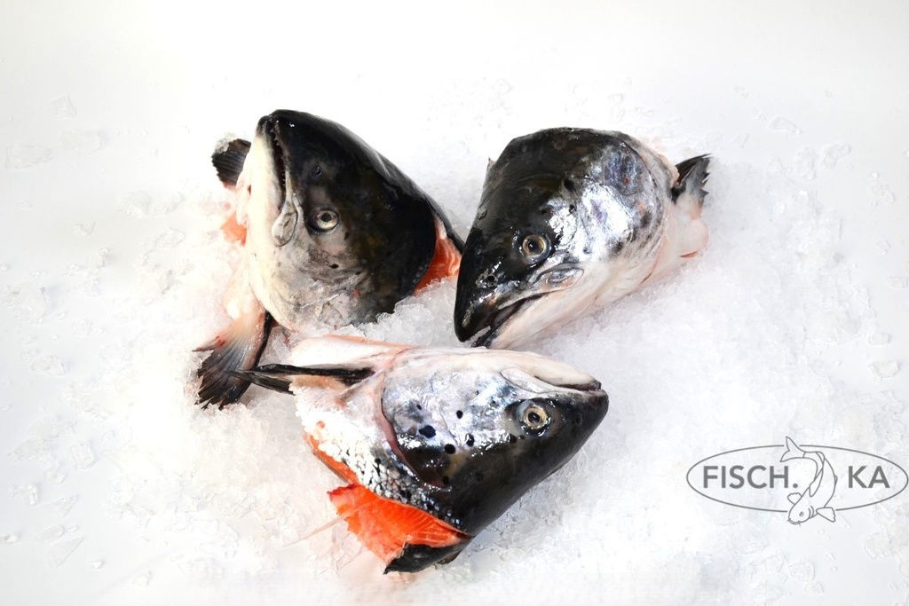 [OB157] Lachs Kopf 12 kg/pack je nach Verfügbarkeit (619)